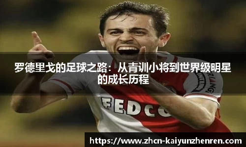 开云真人